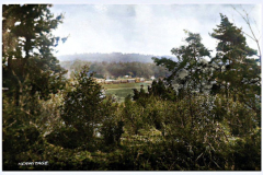 Hermige View