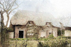 Popular Cottage 2